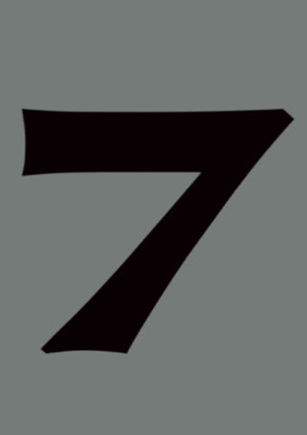 SEVEN - EXCLUSIVE - SILVER